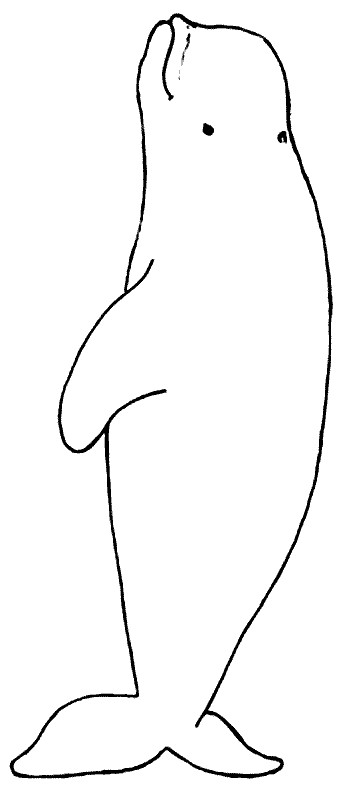 Coloriage et dessins gratuits Beluga simple à imprimer
