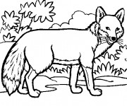 Coloriage et dessins gratuit Le Renard à imprimer