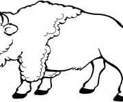 Coloriage Bison en noir et blanc