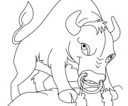 Coloriage Bison &eacute;nerv&eacute;