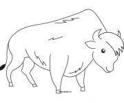 Coloriage Bison facile