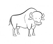 Coloriage Bison humoristique