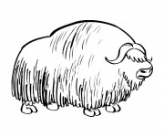 Coloriage Bison tout couvert