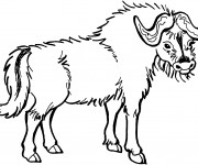 Coloriage Image vecteur d'un Bison