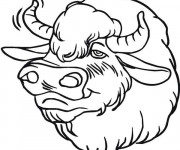 Coloriage Tête de Bison