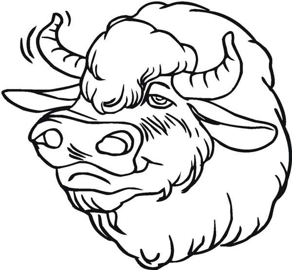 Coloriage et dessins gratuits Tête de Bison à imprimer