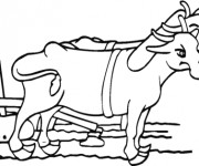Coloriage Boeuf gratuit à imprimer