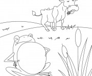 Coloriage Boeuf et grenouille