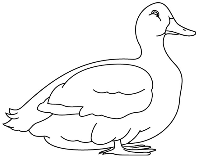 Coloriage et dessins gratuits Canard blanc à imprimer