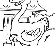 Coloriage Canard de la ferme