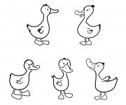 Coloriage et dessins gratuit Canard en couleur à imprimer
