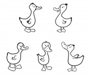 Coloriage et dessins gratuit Canard en couleur à imprimer