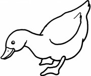 Coloriage Canard en ligne