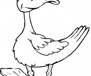 Coloriage Canard en marchant