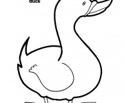 Coloriage Canard en noir et blanc