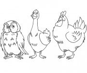 Coloriage Canard, poulet et hibou