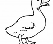 Coloriage Canard sur ordinateur