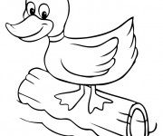 Coloriage Canard sur une planche