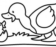 Coloriage Cane re&ccedil;oit son nouveau n&eacute; caneton