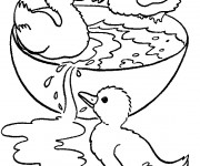 Coloriage Canetons jouent de l'eau