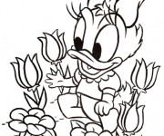 Coloriage Daisy b&eacute;b&eacute; entrain de jouer