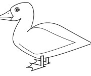 Coloriage Dessin tr&egrave;s simple de Canard