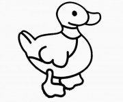 Coloriage Image d'un canard