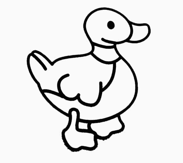 Coloriage et dessins gratuits Image d'un canard à imprimer