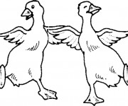 Coloriage Les canards dansent