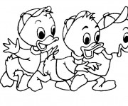 Coloriage Les petits enfants de Donald Duck