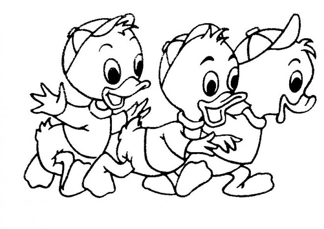 Coloriage et dessins gratuits Les petits enfants de Donald Duck à imprimer