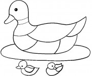 Coloriage M&egrave;re canard avec ses canetons