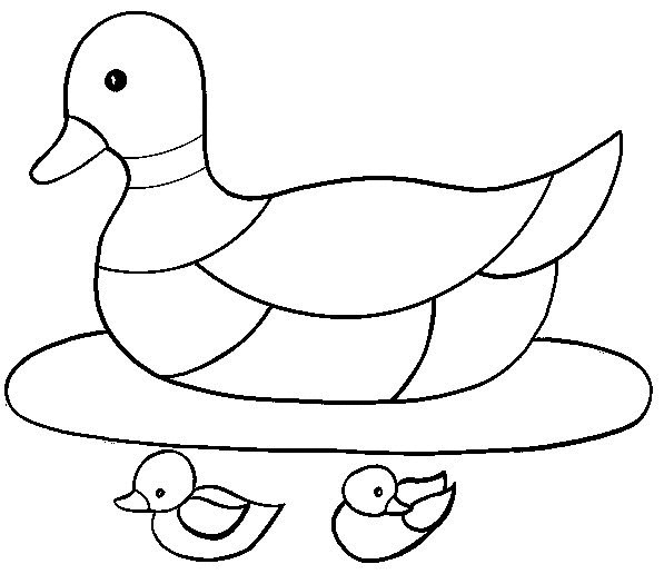 Coloriage et dessins gratuits Mère canard avec ses canetons à imprimer