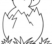 Coloriage Nouveau N&eacute; caneton