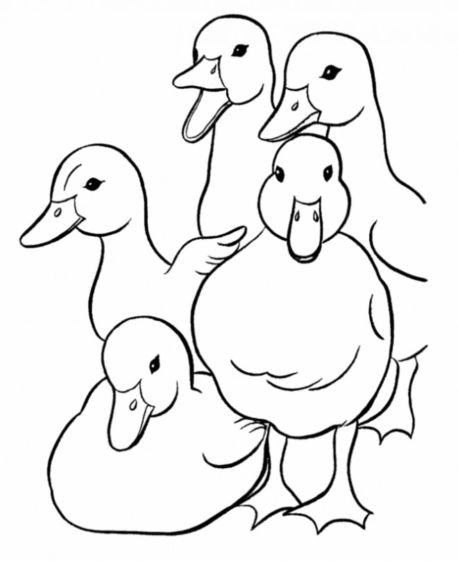 Coloriage et dessins gratuits Petits canards en groupe à imprimer