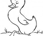 Coloriage Un caneton en plein air