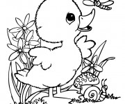 Coloriage Un caneton joue dans la nature