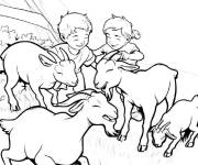 Coloriage Amusement avec les ch&egrave;vres