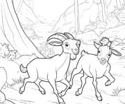 Coloriage Aventure avec les ch&egrave;vres des bois