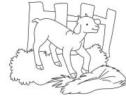Coloriage B&eacute;b&eacute; caprin ch&egrave;vre dans la compagne