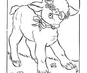 Coloriage B&eacute;b&eacute; caprin debout sur une falaise