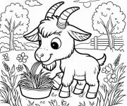 Coloriage B&eacute;b&eacute; caprin et la nourriture