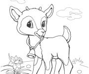 Coloriage B&eacute;b&eacute; Ch&egrave;vre dans le champ