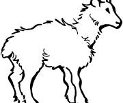 Coloriage et dessins gratuit Bouc domestique à imprimer