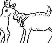 Coloriage Bouc facilement dessin&eacute;e