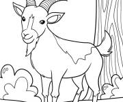 Coloriage Caprin adorable
