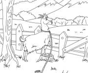 Coloriage Caprin adore le vue montagneux