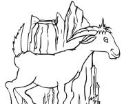 Coloriage Caprin au fond des montagnes