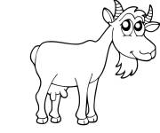 Coloriage Caprin aux yeux doux