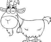 Coloriage Caprin avec barbe